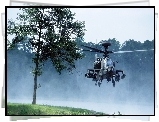 Helikopter, Boeing, Ah-64, Apache, Drzewo