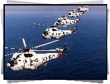 SH-3, SeaKing