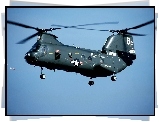 Boeing, Sea Knight, CH-46