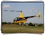 Robinson R44, Wirnik