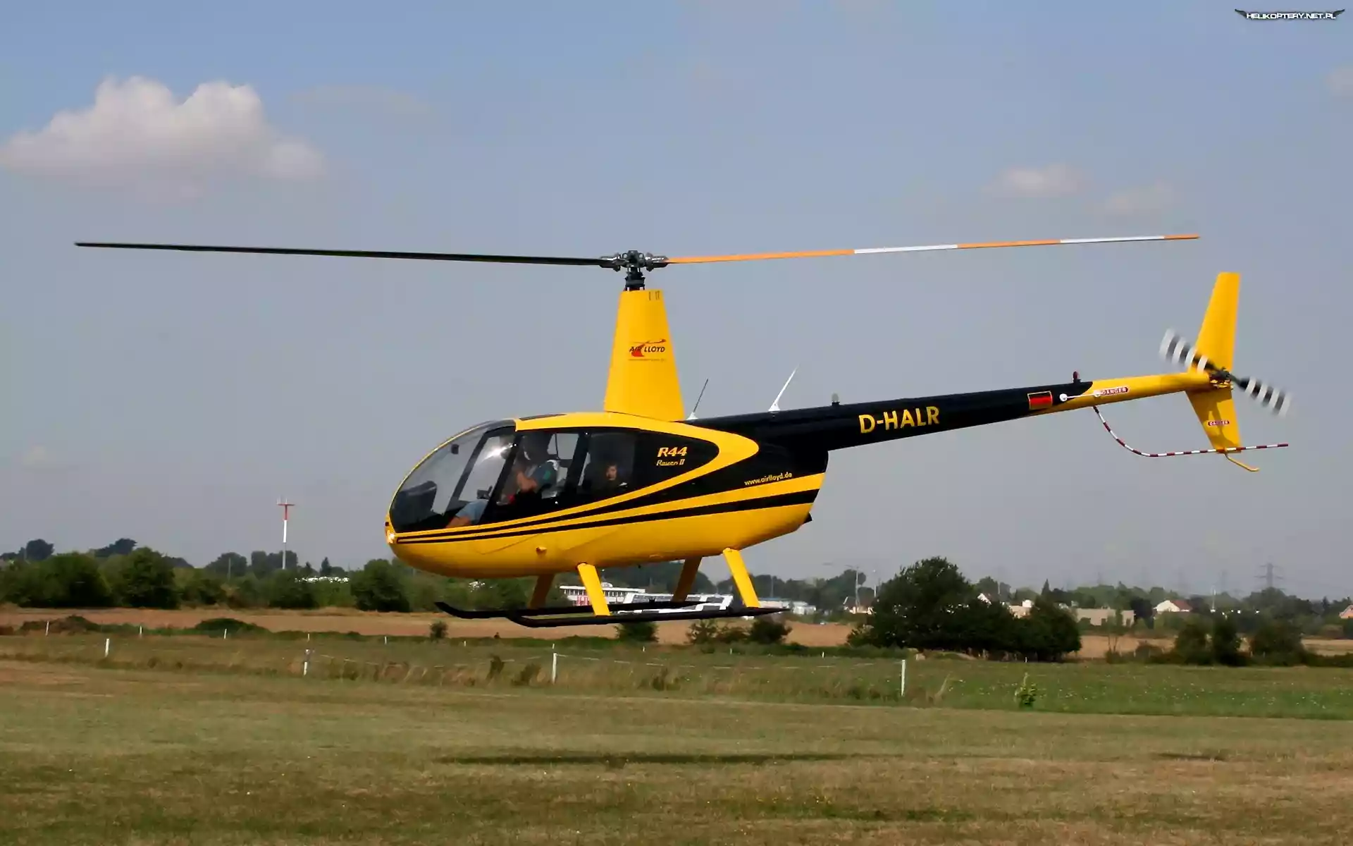Robinson R44, Wirnik